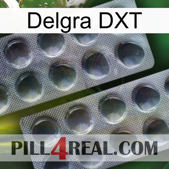 Delgra DXT 31.jpg